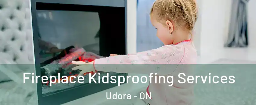  Fireplace Kidsproofing Services Udora - ON