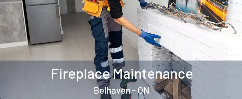  Fireplace Maintenance Belhaven - ON
