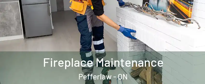  Fireplace Maintenance Pefferlaw - ON
