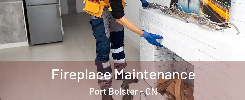  Fireplace Maintenance Port Bolster - ON