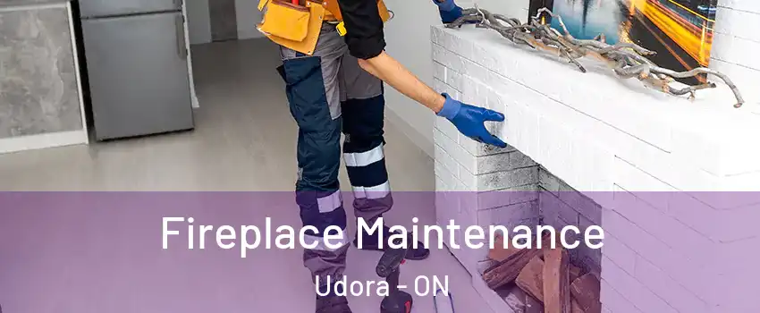  Fireplace Maintenance Udora - ON