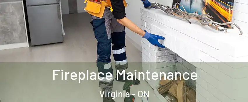  Fireplace Maintenance Virginia - ON
