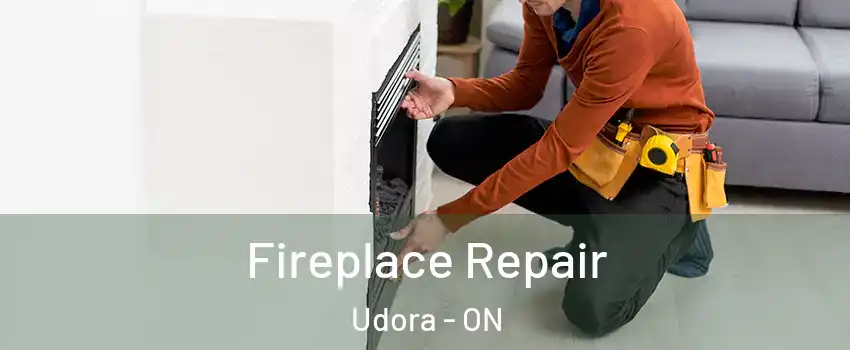  Fireplace Repair Udora - ON
