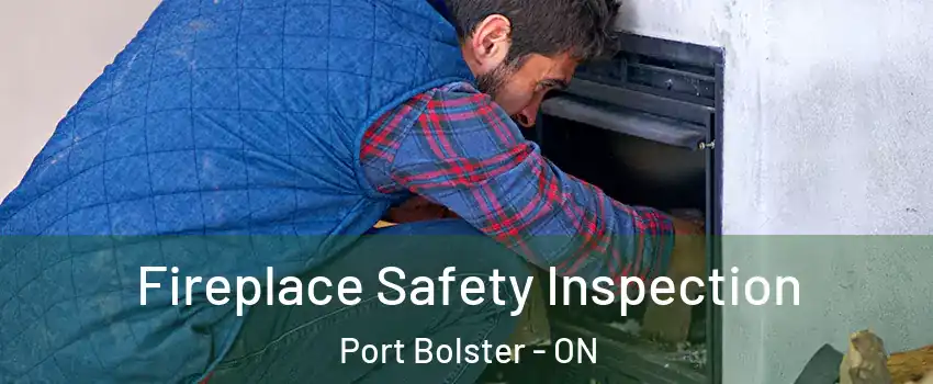 Fireplace Safety Inspection Port Bolster - ON