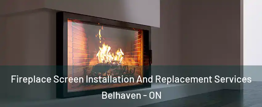Fireplace Screen Installation And Replacement Services Belhaven - ON