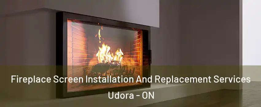 Fireplace Screen Installation And Replacement Services Udora - ON