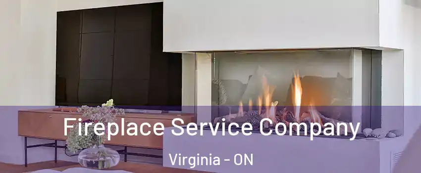  Fireplace Service Company Virginia - ON