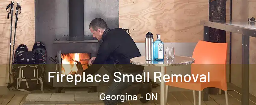  Fireplace Smell Removal Georgina - ON