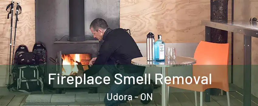  Fireplace Smell Removal Udora - ON