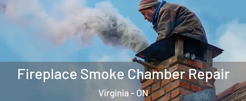  Fireplace Smoke Chamber Repair Virginia - ON