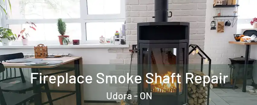  Fireplace Smoke Shaft Repair Udora - ON