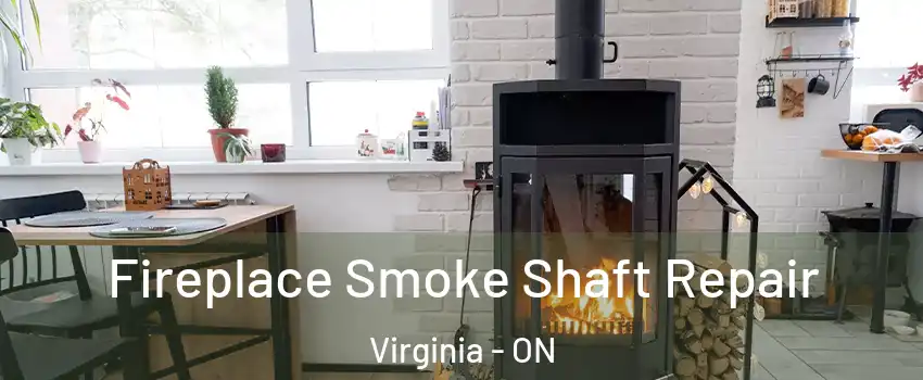  Fireplace Smoke Shaft Repair Virginia - ON