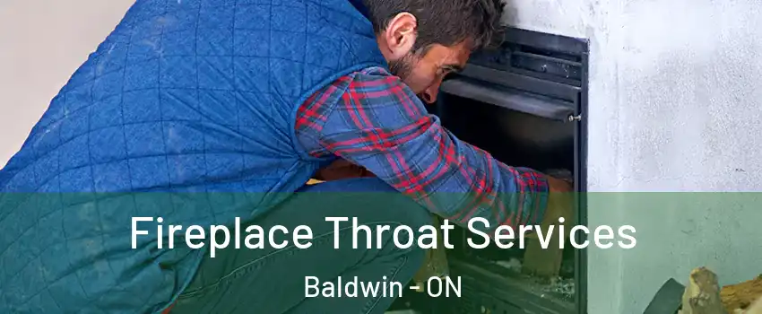  Fireplace Throat Services Baldwin - ON