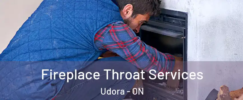  Fireplace Throat Services Udora - ON