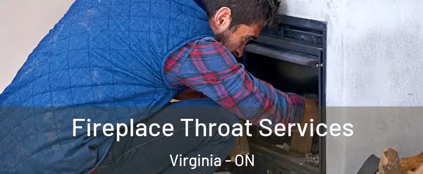  Fireplace Throat Services Virginia - ON
