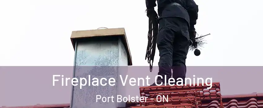  Fireplace Vent Cleaning Port Bolster - ON
