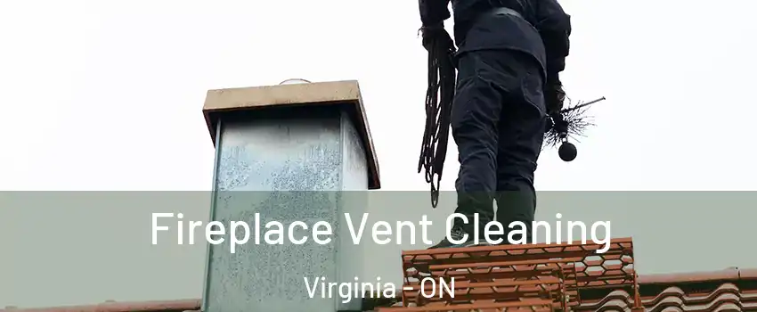  Fireplace Vent Cleaning Virginia - ON