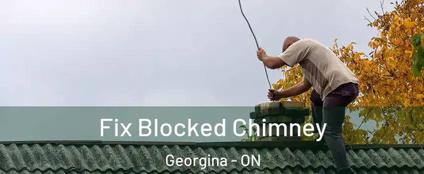 Fix Blocked Chimney Georgina - ON