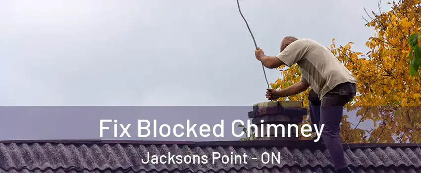  Fix Blocked Chimney Jacksons Point - ON