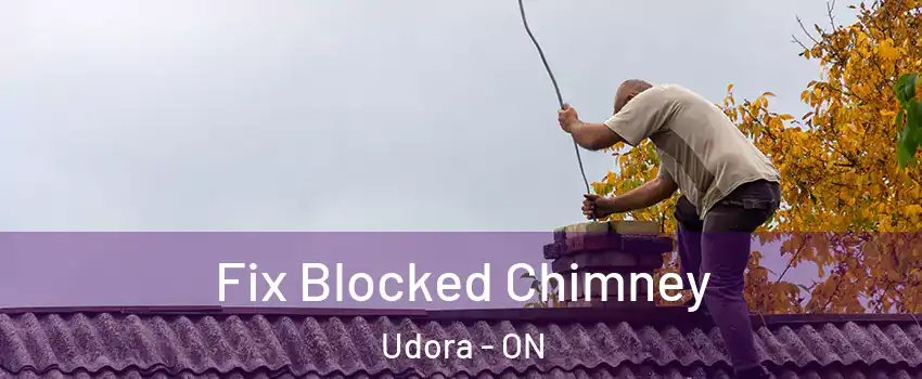 Fix Blocked Chimney Udora - ON