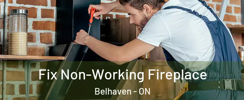  Fix Non-Working Fireplace Belhaven - ON