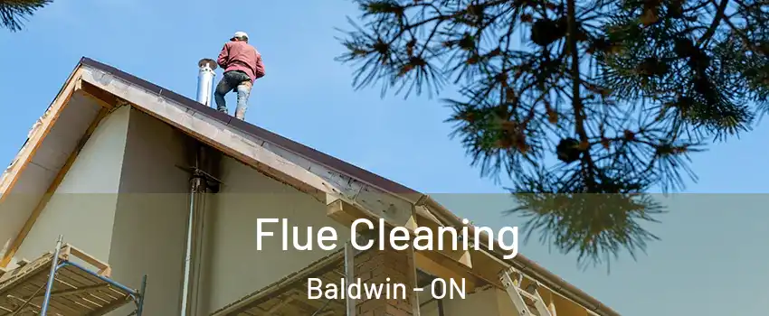 Flue Cleaning Baldwin - ON