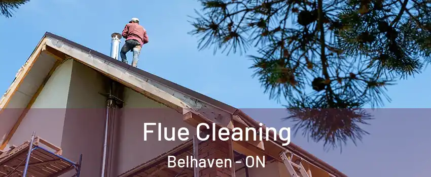  Flue Cleaning Belhaven - ON