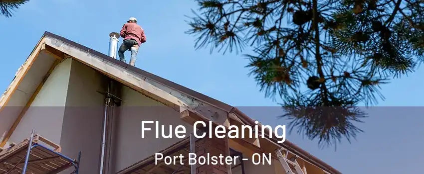  Flue Cleaning Port Bolster - ON