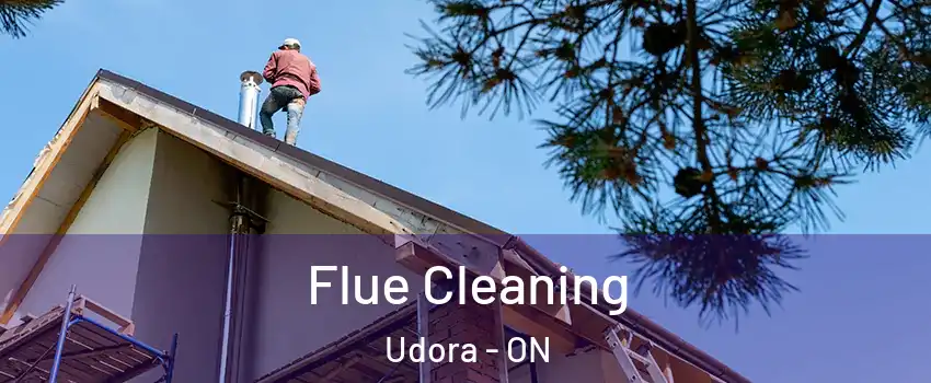  Flue Cleaning Udora - ON