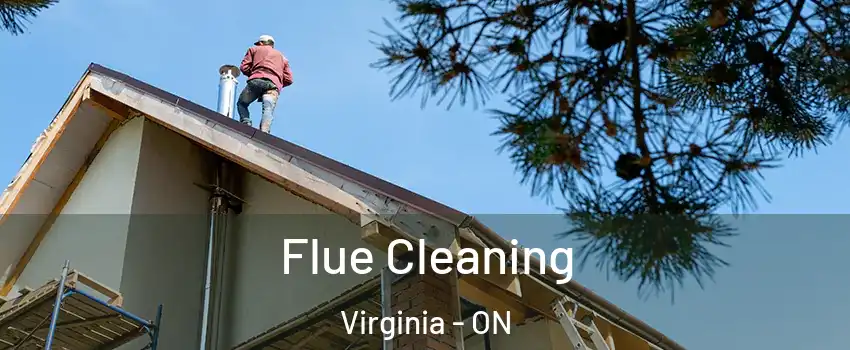  Flue Cleaning Virginia - ON