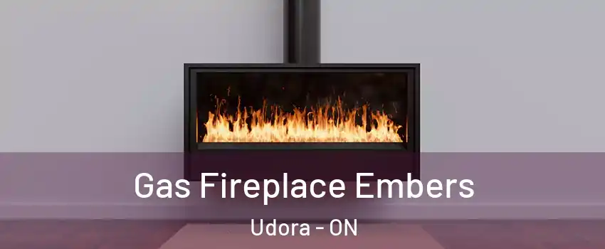  Gas Fireplace Embers Udora - ON