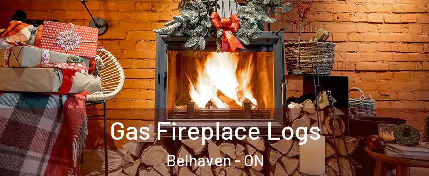  Gas Fireplace Logs Belhaven - ON
