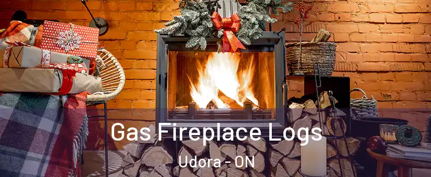 Gas Fireplace Logs Udora - ON