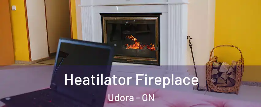  Heatilator Fireplace Udora - ON