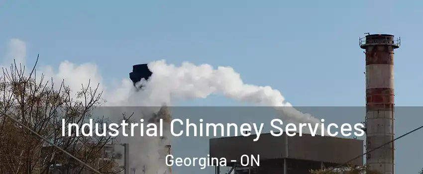 Industrial Chimney Services Georgina - ON