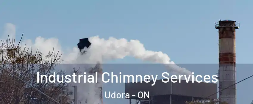  Industrial Chimney Services Udora - ON
