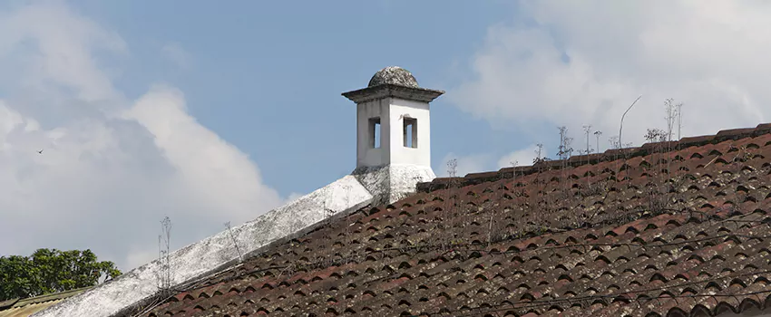 Wind-Resistant Chimney Caps Installation and Repair Services in Sutton, Ontario