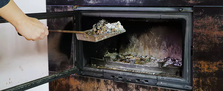 Wood Burning Chimney Odor Removal in Baldwin, Ontario