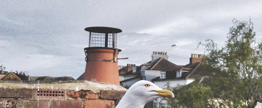 Chimney Cap Bird Guard Repair in Sutton, Ontario