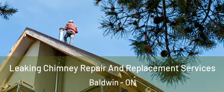  Leaking Chimney Repair And Replacement Services Baldwin - ON