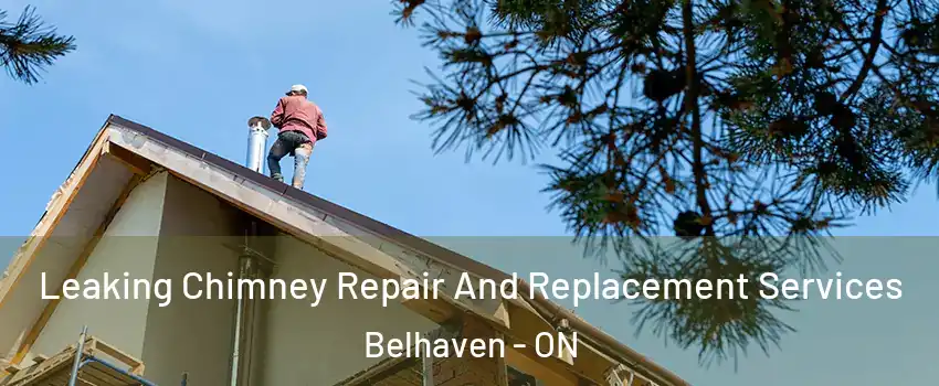  Leaking Chimney Repair And Replacement Services Belhaven - ON