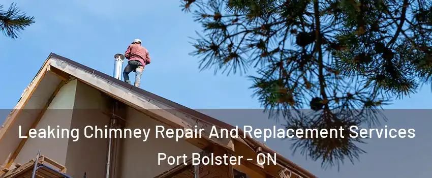  Leaking Chimney Repair And Replacement Services Port Bolster - ON