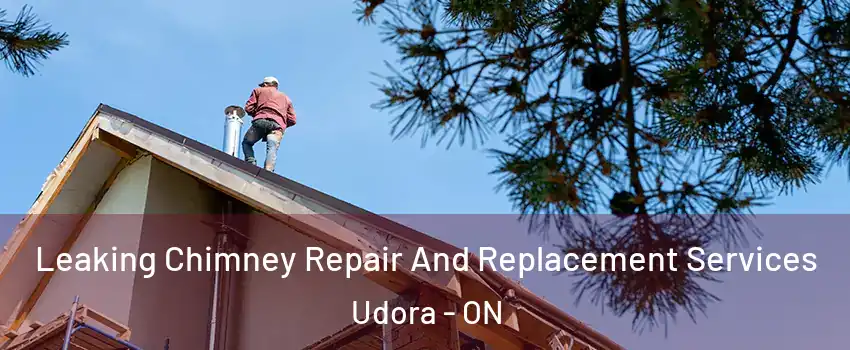  Leaking Chimney Repair And Replacement Services Udora - ON