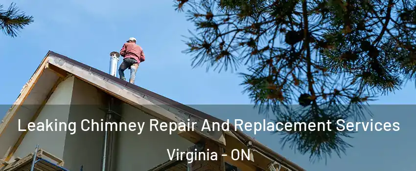  Leaking Chimney Repair And Replacement Services Virginia - ON