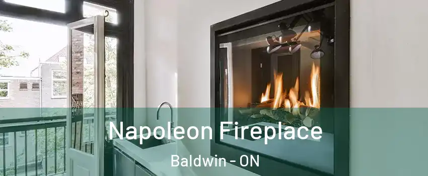  Napoleon Fireplace Baldwin - ON