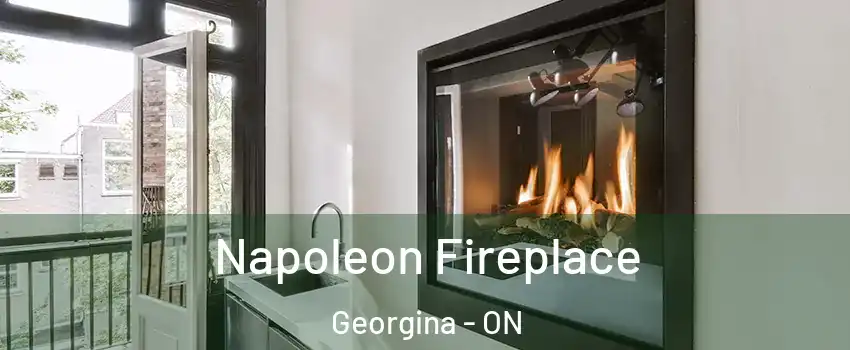  Napoleon Fireplace Georgina - ON