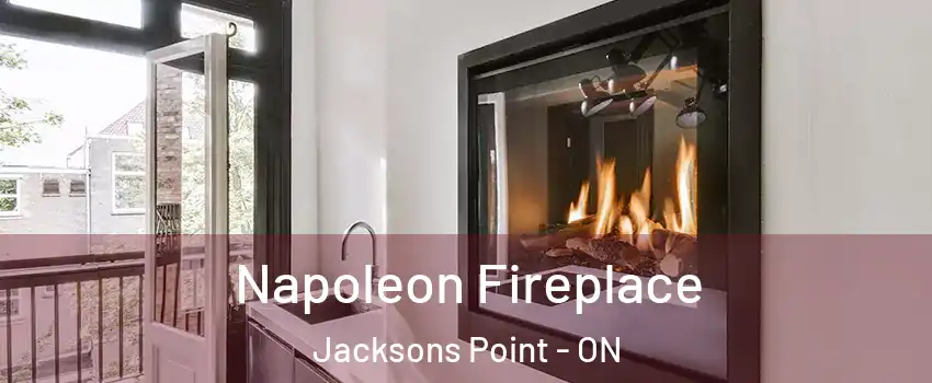  Napoleon Fireplace Jacksons Point - ON