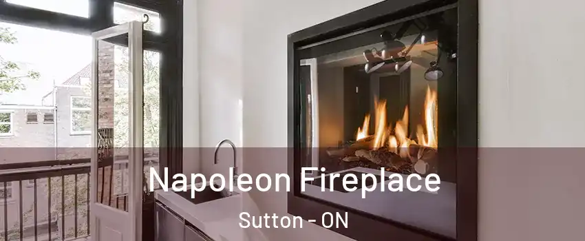  Napoleon Fireplace Sutton - ON