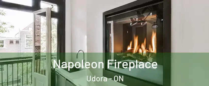  Napoleon Fireplace Udora - ON