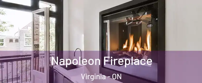  Napoleon Fireplace Virginia - ON